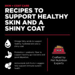 Go! Solutions Skin + Coat Care Lamb Recipe Dry Dog Food, photo 4