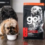 Go! Solutions Skin + Coat Care Lamb Recipe Dry Dog Food, photo 3