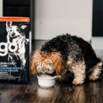 Go! Solutions Skin + Coat Care Chicken Recipe Dry Dog Food, photo 3