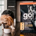 Go! Solutions Skin + Coat Care Duck Recipe with Grains Dry Dog Food, photo 3