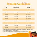Gather Free Acres Organic Free-Run Chicken Recipe for Adult Dogs Dry Dog Food, photo 2