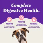 Halo Adult Holistic Wild Salmon & Whitefish Recipe Dry Dog Food, photo 8