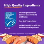Halo Small Breed Adult Grain-Free Healthy Weight Holistic Wild Salmon & Whitefish Recipe Dry Dog Food, photo 6