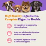 Halo Small Breed Adult Grain-Free Healthy Weight Holistic Wild Salmon & Whitefish Recipe Dry Dog Food, photo 5