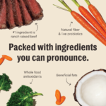The Honest Kitchen Grain-Free Beef Recipe Whole Food Clusters Dry Dog Food, photo 5