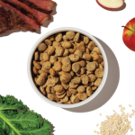 The Honest Kitchen Whole Grain Beef & Oat Recipe Whole Food Clusters Dry Dog Food, photo 6