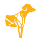 Iams Puppy Dry Dog Food, photo 9