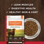 Instinct Original Grain-Free Recipe with Real Beef Dry Dog Food, photo 5