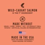 Instinct Original Grain-Free Recipe with Real Salmon Dry Dog Food, photo 4