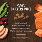 Instinct Original Grain-Free Recipe with Real Salmon Dry Dog Food, photo 3