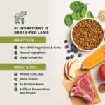 Instinct Be Natural Real Lamb & Oatmeal Recipe Dry Dog Food, photo 3