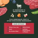Instinct Raw Boost Grain-Free Recipe with Real Beef Dry Dog Food, photo 5