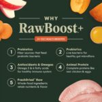 Instinct Raw Boost Grain-Free Recipe with Real Chicken for Gut Health Dry Dog Food, photo 2