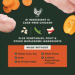 Instinct Raw Boost Grain-Free Recipe with Real Chicken for Gut Health Dry Dog Food, photo 4