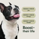 Instinct Raw Boost Grain-Free Recipe with Real Beef for Small Breed Dogs Dry Dog Food, photo 4