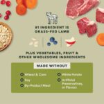 Instinct Raw Boost Whole Grain Recipe with Real Lamb & Oatmeal Dry Dog Food, photo 5