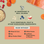 Instinct Raw Boost Whole Grain Recipe with Real Salmon & Brown Rice Dry Dog Food, photo 5