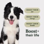 Instinct Raw Boost Whole Grain Recipe with Real Chicken & Brown Rice for Puppies Dry Dog Food, photo 4