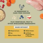 Instinct Raw Boost Whole Grain Recipe with Real Chicken & Brown Rice for Puppies Dry Dog Food, photo 5