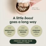 Instinct Raw Boost Mixers All Natural Beef Recipe Freeze-Dried Dog Food Topper, photo 3