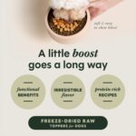 Instinct Raw Boost Mixers Gut Health Freeze-Dried Dog Food Topper, photo 3
