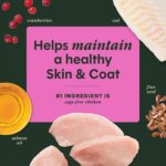 Instinct Raw Boost Mixers Skin & Coat Health Freeze-Dried Dog Food Topper, photo 2
