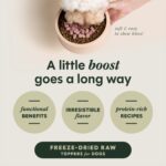 Instinct Raw Boost Mixers Skin & Coat Health Freeze-Dried Dog Food Topper, photo 3