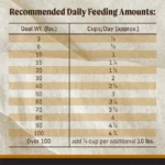 Merrick Backcountry Raw Infused Big Game Recipe Dry Dog Food, photo 5