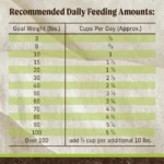 Merrick Grain-Free Real Lamb + Sweet Potato Recipe Dry Dog Food, photo 5