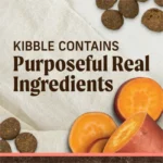 Merrick Grain-Free Real Salmon + Sweet Potato Recipe Dry Dog Food, photo 2