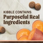 Merrick Limited Ingredient Diet Grain-Free Real Salmon & Sweet Potato Recipe Dry Dog Food, photo 4