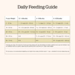 Now Fresh Grain-Free Puppy Dog Food Recipe Dry Dog Food, photo 6