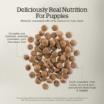 Now Fresh Grain-Free Puppy Dog Food Recipe Dry Dog Food, photo 4