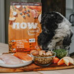 Now Fresh Grain-Free Adult Dog Food Recipe Dry Dog Food, photo 2