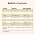 Now Fresh Grain-Free Adult Dog Food Recipe Dry Dog Food, photo 7