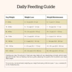 Now Fresh Grain-Free Senior Dog Food Recipe Dry Dog Food, photo 6
