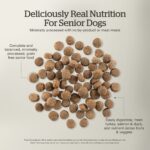 Now Fresh Grain-Free Senior Dog Food Recipe Dry Dog Food, photo 4