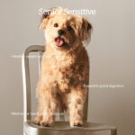 Now Fresh Grain-Free Senior Dog Food Recipe Dry Dog Food, photo 2