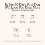 Now Fresh Grain-Free Fish Recipe for Adult Dogs Dry Dog Food, photo 5
