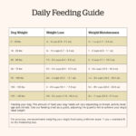 Now Fresh Grain-Free Fish Recipe for Adult Dogs Dry Dog Food, photo 6