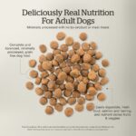 Now Fresh Grain-Free Fish Recipe for Adult Dogs Dry Dog Food, photo 4