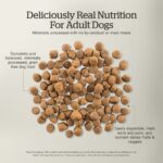 Now Fresh Grain-Free Red Meat Recipe for Adult Dogs Dry Dog Food, photo 4