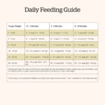 Now Fresh Small Breed Puppy Turkey, Salmon & Duck Grain-Free Dry Dog Food, photo 6