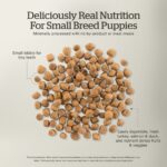Now Fresh Small Breed Puppy Turkey, Salmon & Duck Grain-Free Dry Dog Food, photo 4
