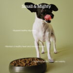 Now Fresh Good Gravy Chicken Small Breed Dry Dog Food, photo 4