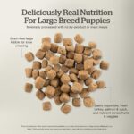 Now Fresh Grain-Free Large Breed Puppy Food Recipe Dry Dog Food, photo 4