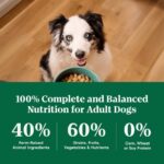 Nutro Natural Choice Large Breed Adult Lamb & Brown Rice Recipe Dry Dog Food, photo 5