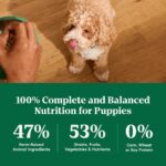 Nutro Natural Choice Puppy Chicken & Brown Rice Recipe Dry Dog Food, photo 6