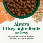 Nutro Limited Ingredient Diet Grain-Free Adult Salmon & Lentils Recipe Dry Dog Food, photo 4