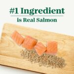 Nutro Limited Ingredient Diet Grain-Free Adult Salmon & Lentils Recipe Dry Dog Food, photo 2